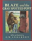 Blaze and the Gray Spotted Pony