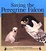 Saving the Peregrine Falcon (Nature Watch)
