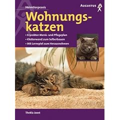 Wohnungskatzen