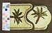 Palm Tree Tropical Bathroom Mats and Cover Lid