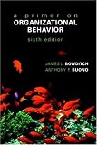 A Primer on Organizational Behavior (Wiley Series in Management)