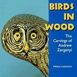 Birds in Wood: The Carvings of Andrew Zergenyi (Folk Art and Artists)
