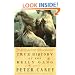 True History of the Kelly Gang: A Novel