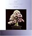 Bonsai - The Art of Living Sculpture
