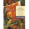Favorite Needlepoint Books