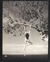 Patrick Demarchelier: Photographs