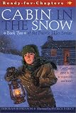 Prairie Skies: Cabin in the Snow