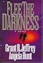 Flee the Darkness (Millennium Bug Series #1)