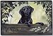 Black Lab Labrador Retriever Dogs Indoor / Outdoor Designer Doormat