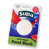Anti Algae Pond Treatment Block
