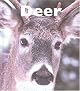 Deer (Naturebooks)