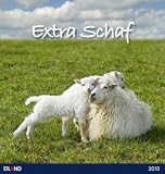 Extra Schaf 2010 - Postkartenkalender - 
