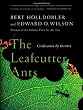The Leafcutter Ants: Civilization by Instinct