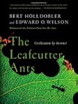Leafcutter Ants, The