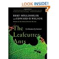 The Leafcutter Ants: Civilization by Instinct