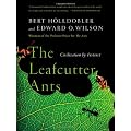 Leafcutter Ants, The
