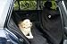 1320 Back Car Seat Dog Cover Protect From Hair Wet Dogs