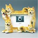 Shiba Inu Photo Frame (4x6)