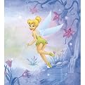 Tinkerbelle Mini Mural - 28x31"