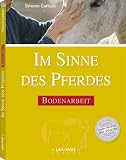 Im Sinne des Pferdes: Bodenarbeit - Simone Carlson