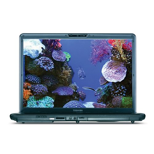 Toshiba Satellite P305-S8832 17-inch Laptop (2.0GHz Intel Core 2 Duo T5750 Processor, 3 GB RAM, 250 GB Hard Drive, DVD Drive, Vista Premium) Black image