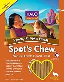 Halo Spot's Chew Dental Treat Pumpkin for Pets Small/Medium
