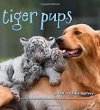 Tiger Pups