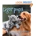 Tiger Pups