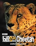 Big Cat Diary: Cheetah (Big Cat Diary)