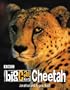 Cheetah (Big Cat Diary)