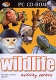 Play and Learn : Wildlife Activity Centre