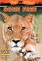Born Free