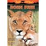Born Free