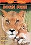 Born Free Born Free