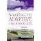 Shaping an adaptive organization