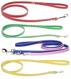 Signature Leather Leads 3/4 in. Blue