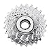Campagnolo 2009 Veloce UD 10-Speed Steel Road Bicycle Cassette