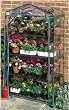 NEPTUNE 4-Tier Mini Portable GREENHOUSE Green Grow Hot House