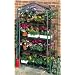 NEPTUNE 4-Tier Mini Portable GREENHOUSE Green Grow Hot House