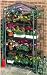 NEPTUNE 4-Tier Mini Portable GREENHOUSE Green Grow Hot House