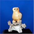 OWL by MALCOLM OOZEVASEUK