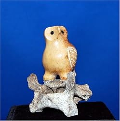 OWL by MALCOLM OOZEVASEUK