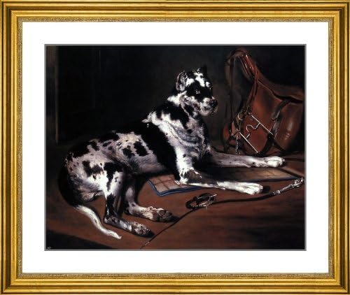 Bernard De Gempt Recumbant Great Dane - 21.5" x 24" Matted Framed Premium Archival Print