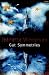 Gut Symmetries
