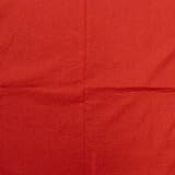 Plain Red Bandana #10