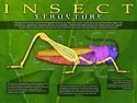 Amazing Insects Educational Poster Series, Set of 6 Laminated Posters. Topics include: Insect Senses, Structure, Defenses, Feeding Methods, Metamorphosis, and Orders.