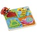 Branching Out Touch and Feel Bugs Puzzle