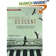 Contours of Descent: U.S. Economic Fractures and the Landscape of Global Austerity