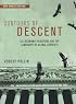 Contours of Descent: U.S. Economic Fractures and the Landscape of Global Austerity