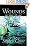 Wounds in the Rain